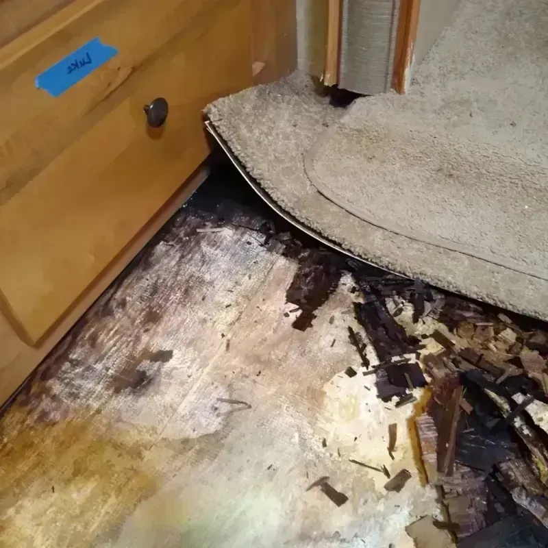 Wood Floor Water Damage in Horry County, SC